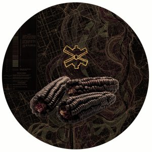 TAT 13 Ollin Yoliztli