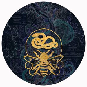 TAT 5 Abeja nocturna