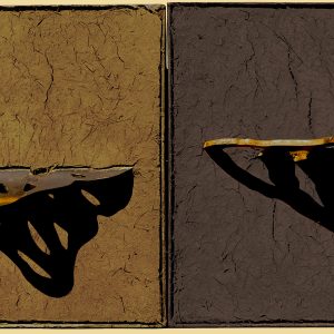 TIE Arrecife Mixteco 2 Módulos